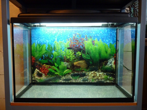 аквариум 400 л киев